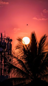 A stunning sunset silhouette of a palm tree and communication tower, evoking serenity.