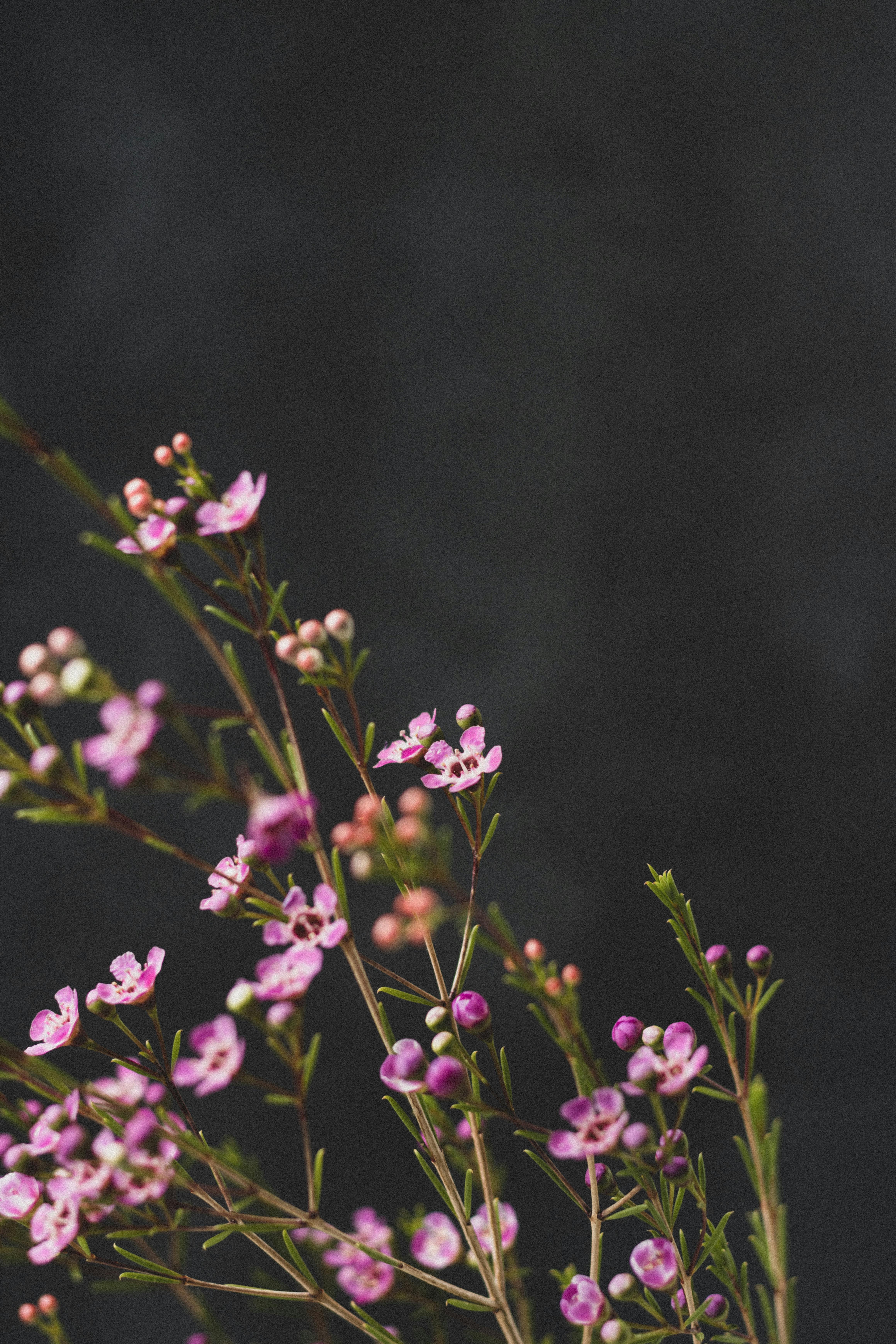pexels-photo-6414815.jpeg