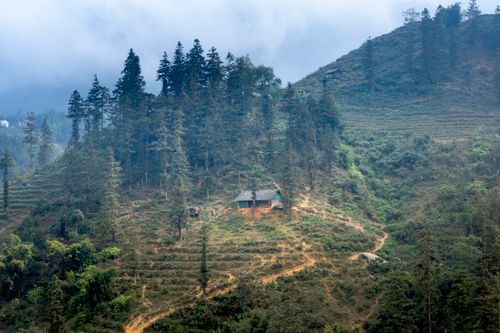 Free A serene farmhouse nestled on a misty hill with lush trees and winding paths. Stock Photo