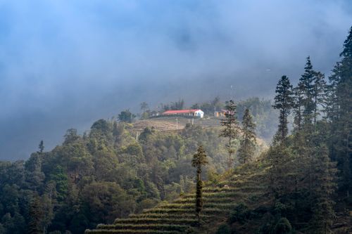 Free Scenic view of foggy hillside with houses amidst lush greenery and rolling landscape. Stock Photo