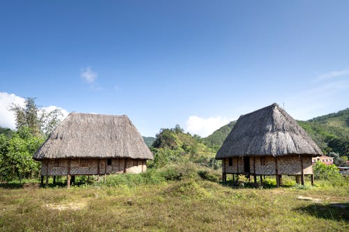 Traditional wooden bungalows made of bamboo and straw located in grassy terrain in tribal settlement