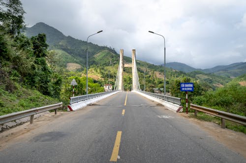 Asphalt road of modern bridge with signboard going through hilly area covered with green trees in nature on summer day