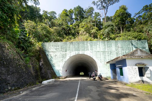 Asphalt roadway leading to shabby long tunnel located near old structure and lush green trees in suburb area of countryside