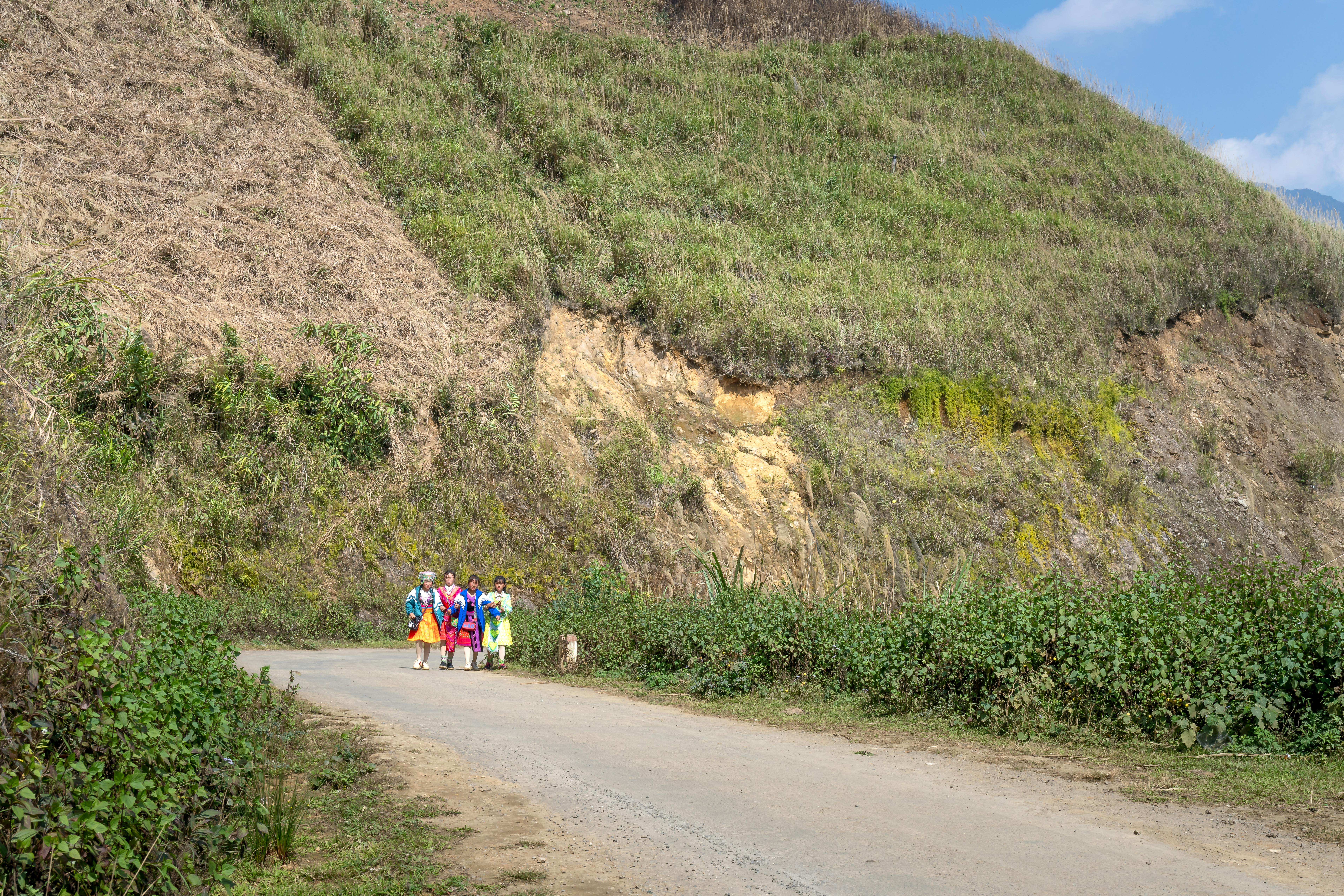 How to Spend a Perfect Day on Cotham Hill: A Curated Itinerary for Exploring Local Delights and Attractions