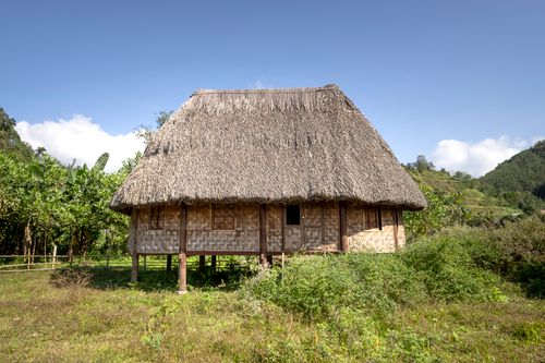 Free Old weathered shack with thatched roof located on grassy ground amidst green trees against blue sky on sunny summer day Stock Photo