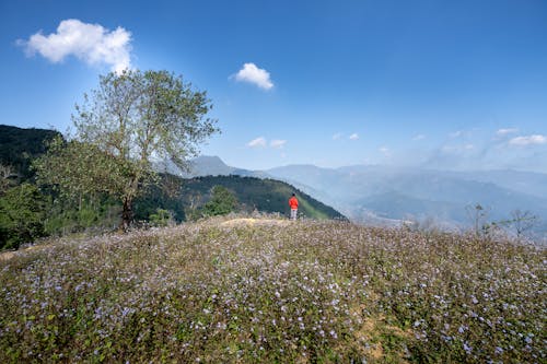 Distant anonymous hiker standing on grassy hill slope while enjoying mountain range during trekking in highlands on summer day in nature