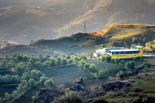 Picturesque view of green agricultural field cultivated near modern building in summer farmyard in hilly area on sunny weather