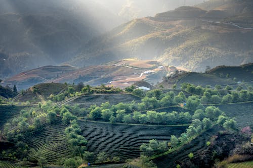 Breathtaking agricultural fields on hills slopes