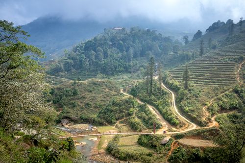Free Scenery of abundant lush agricultural plantations cultivated on hill slopes covered with thick mist in hilly farmland Stock Photo