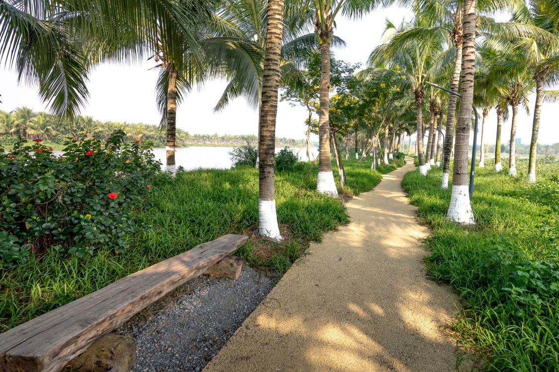 Footpath in lush verdant park near river · Free Stock Photo