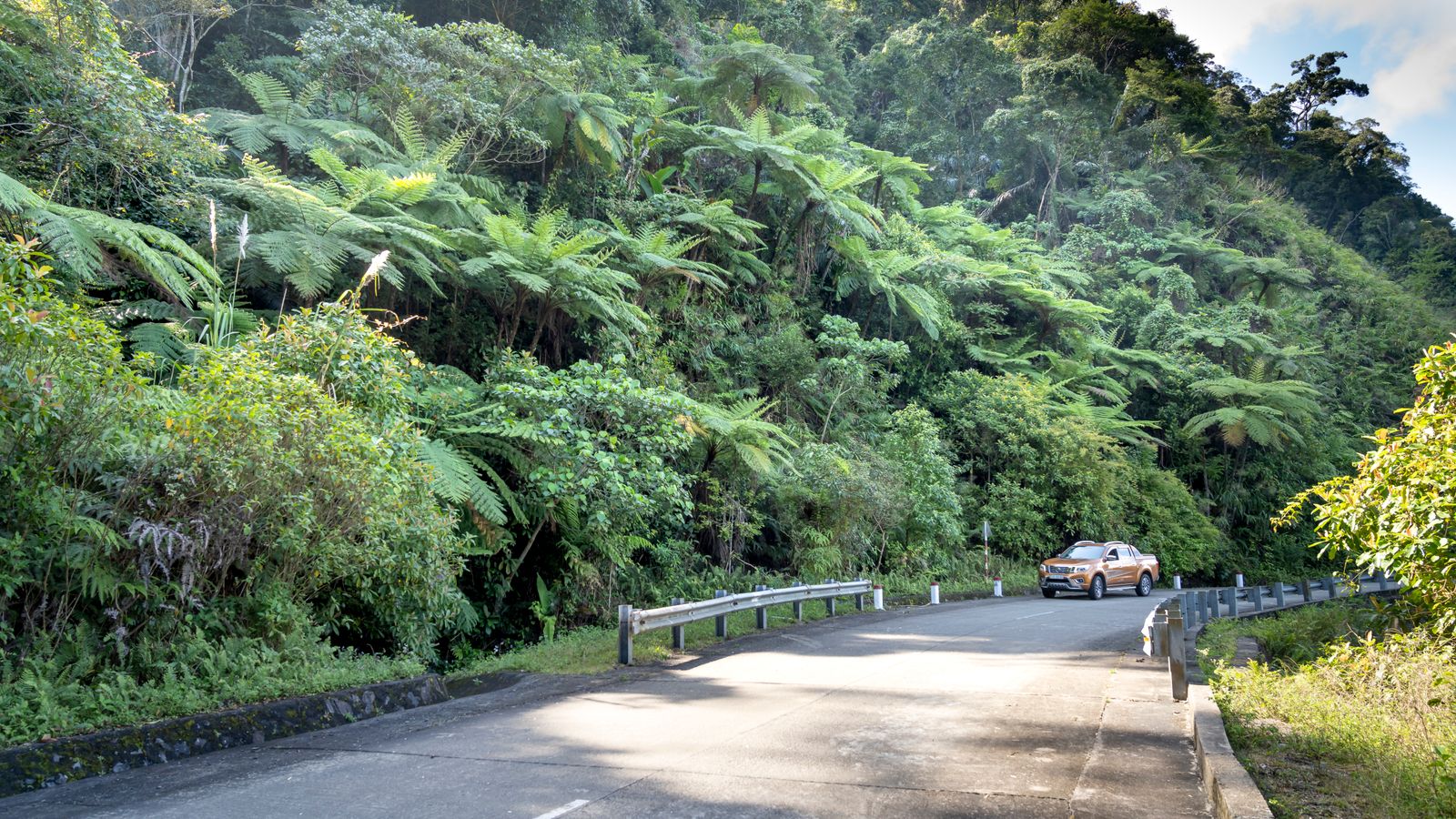 Automobile driving on road against exotic trees on ridge, Sao Tome and Principe