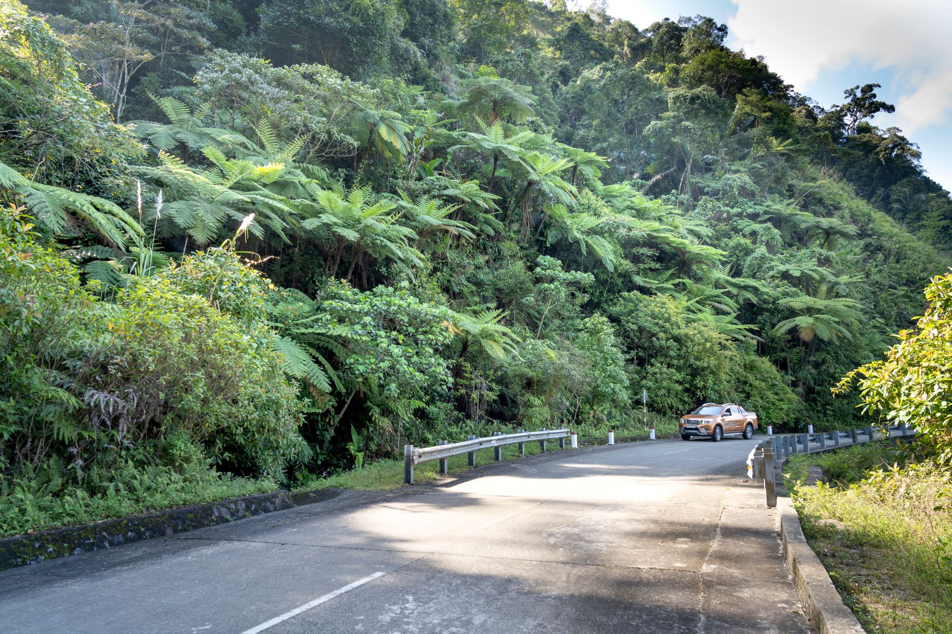 Auto driving on asphalt roadway with fences against lush tropical trees growing on mountain in sunlight