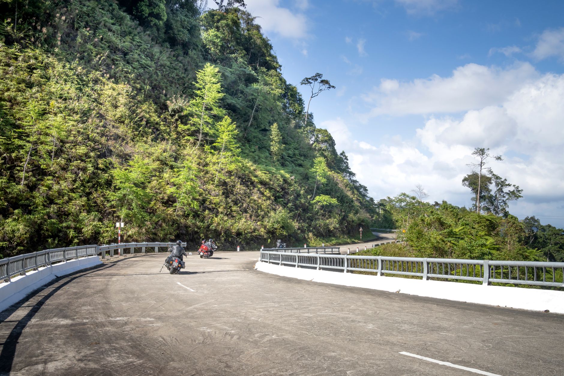 Back view of unrecognizable motorcyclists driving bikes on asphalt roadway with fences against lush trees on mount under