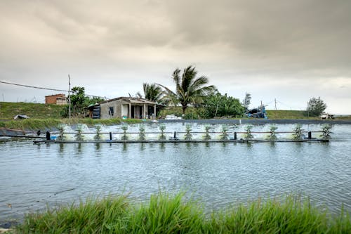 Water turbines in row on rippled river against old construction and tropical trees under cloudy sky