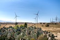 Windmills on terrain between cacti and electric towers