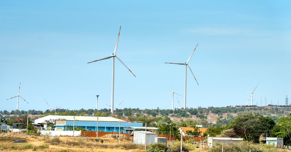 Débuter une Vie Plus Écologique : Par Où Commencer ?