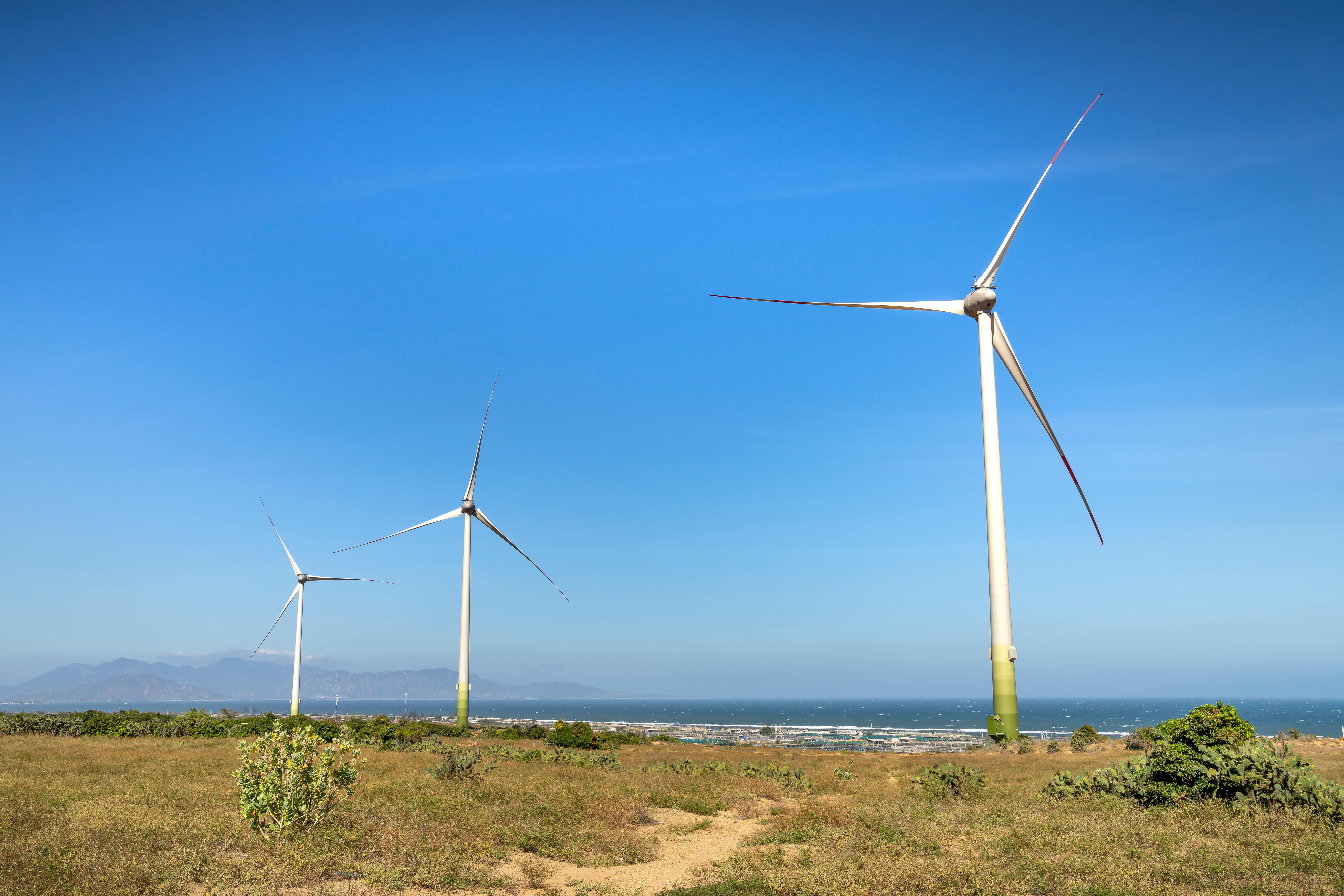 Photo by Quang Nguyen Vinh