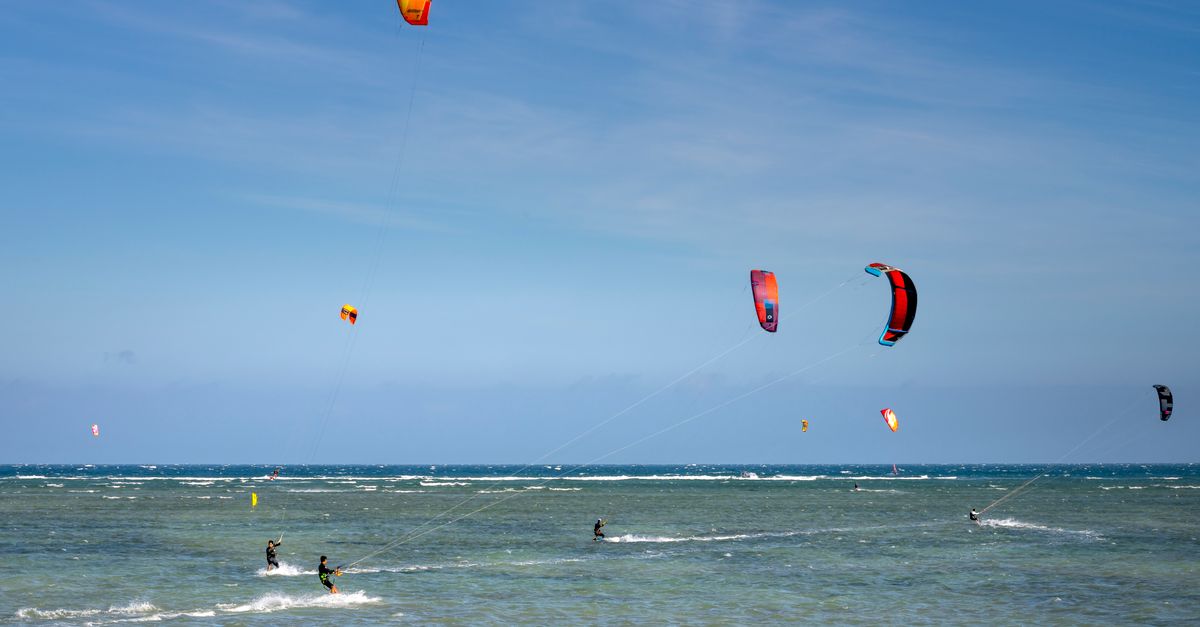 Top 5 des Activités Aquatiques à Essayer Cet Été