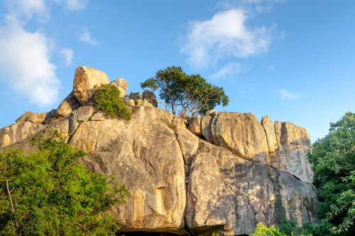 Free From below of rough massive rocky cliff with green trees growing on top in mountainous valley against blue sky on sunny day Stock Photo