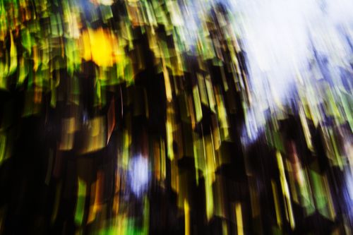 Free A vibrant abstract image of blurred green and yellow leaves creating a dynamic pattern. Stock Photo