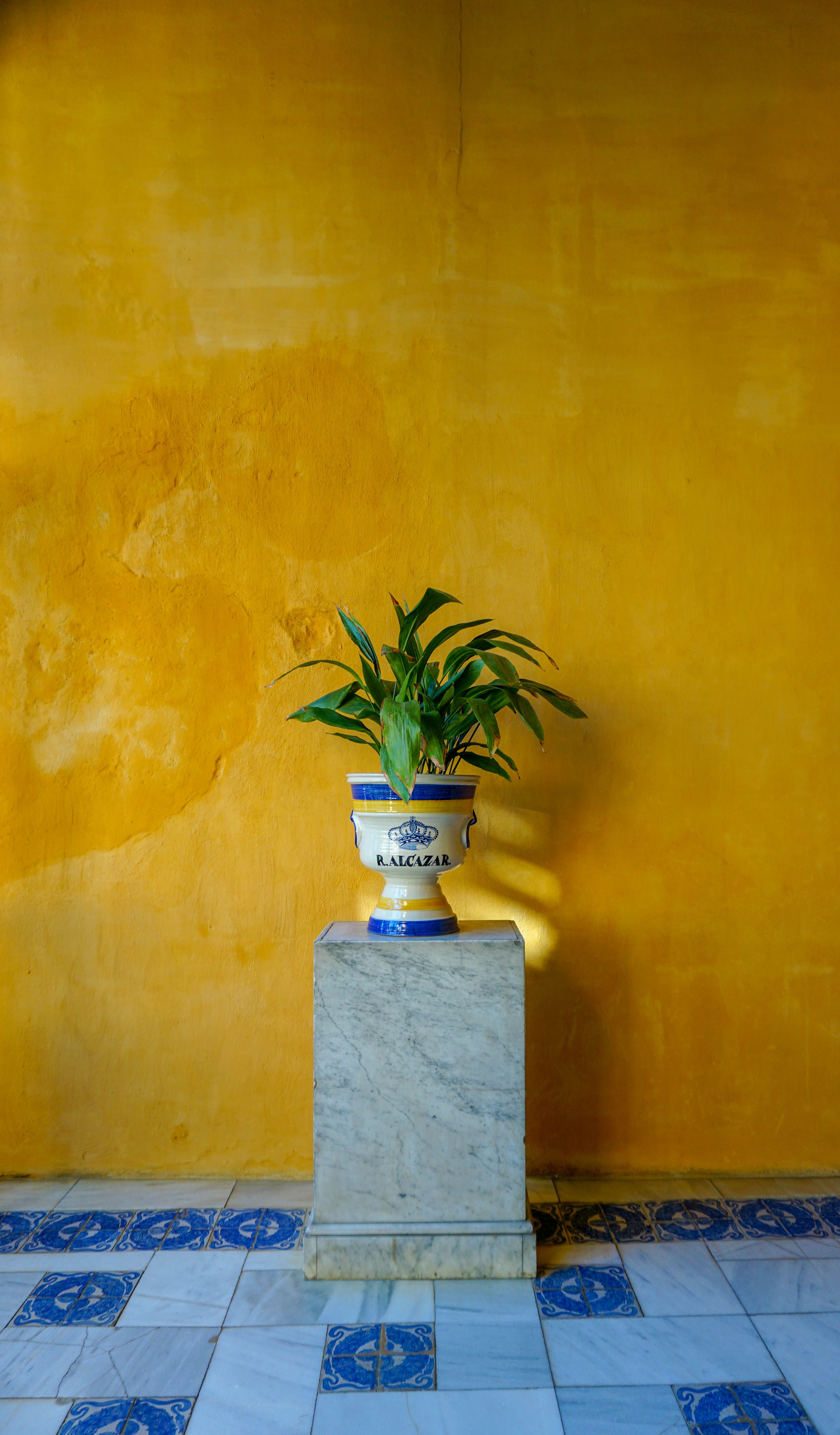 Fotomural Fotolia