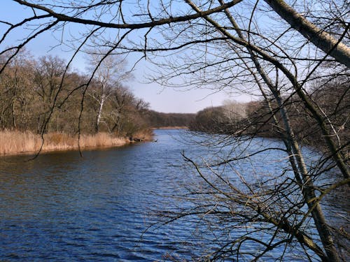 Free stock photo of samara river