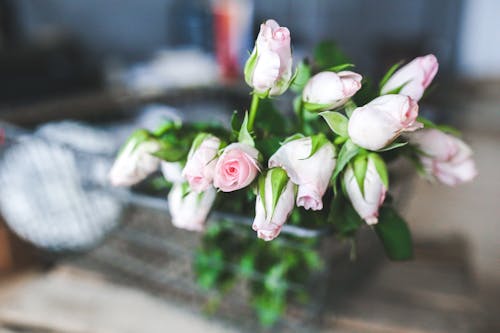 Roses in basket