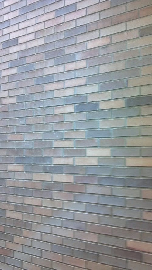 Free stock photo of brick wall, bricks, wall Stock Photo