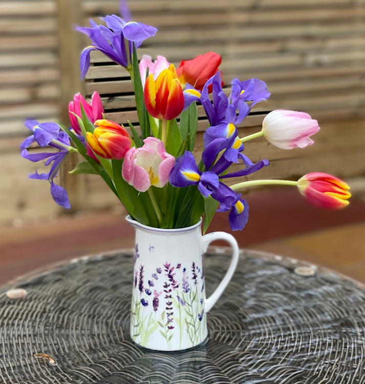Free stock photo of flowers, irises, spring Stock Photo