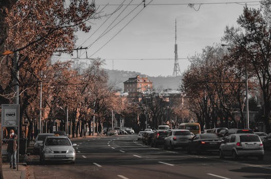 Urban street scene with fall foliage, cars, and Tbilisi tower in the background.