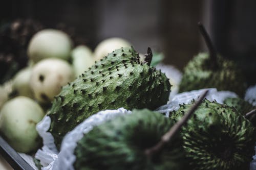 Soursop in Close-up Shot 