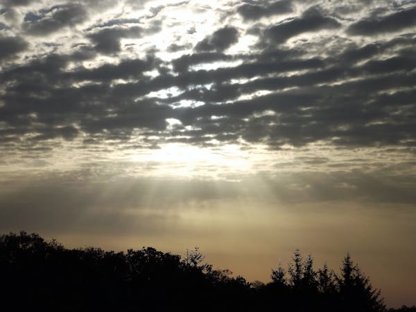 Traditional ceramic bowls