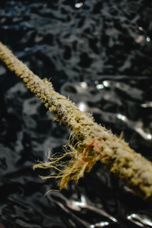 Close-Up Shot of a Rope