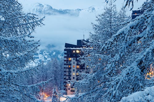 Ücretsiz açık hava, ağaçlar, Alpler içeren Ücretsiz stok fotoğraf Stok Fotoğraflar
