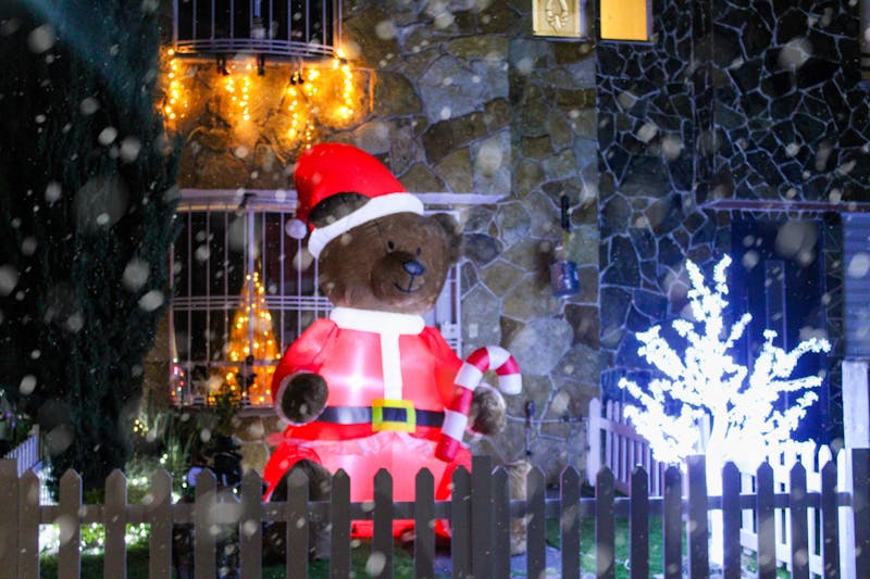 Premium Food Packaging