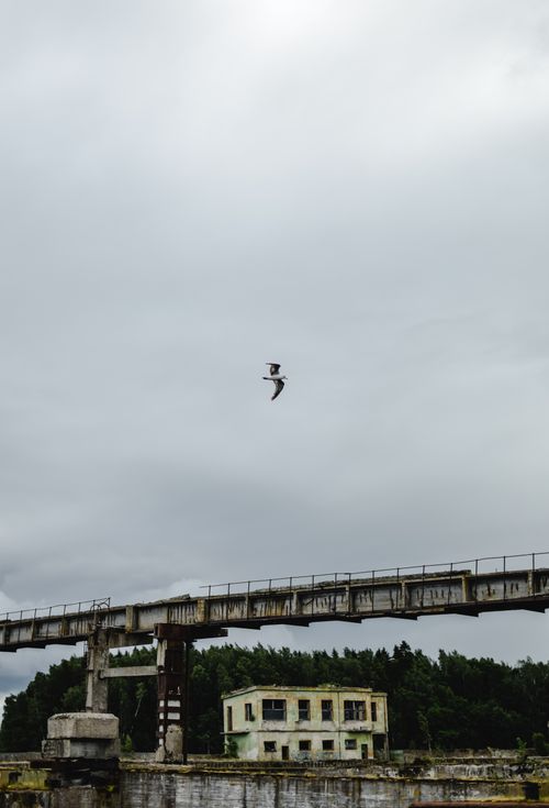 Free A seagull soars above an abandoned bridge and derelict structures under a cloudy sky in Estonia. Stock Photo