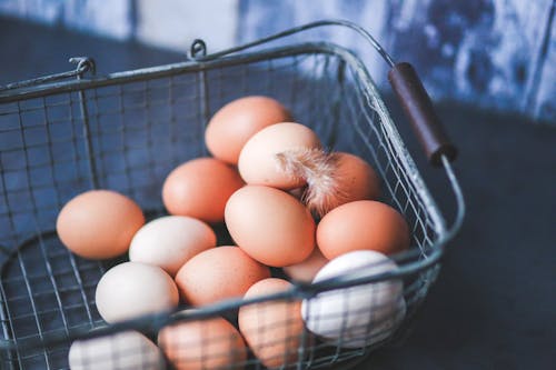 Fotos de stock gratuitas de aves de corral, básquet, cáscara de huevo