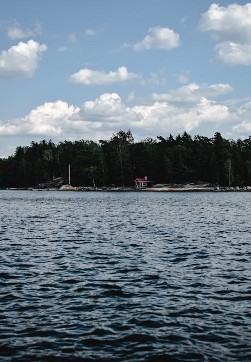 Immagine gratuita di corpo d'acqua, increspare, lago