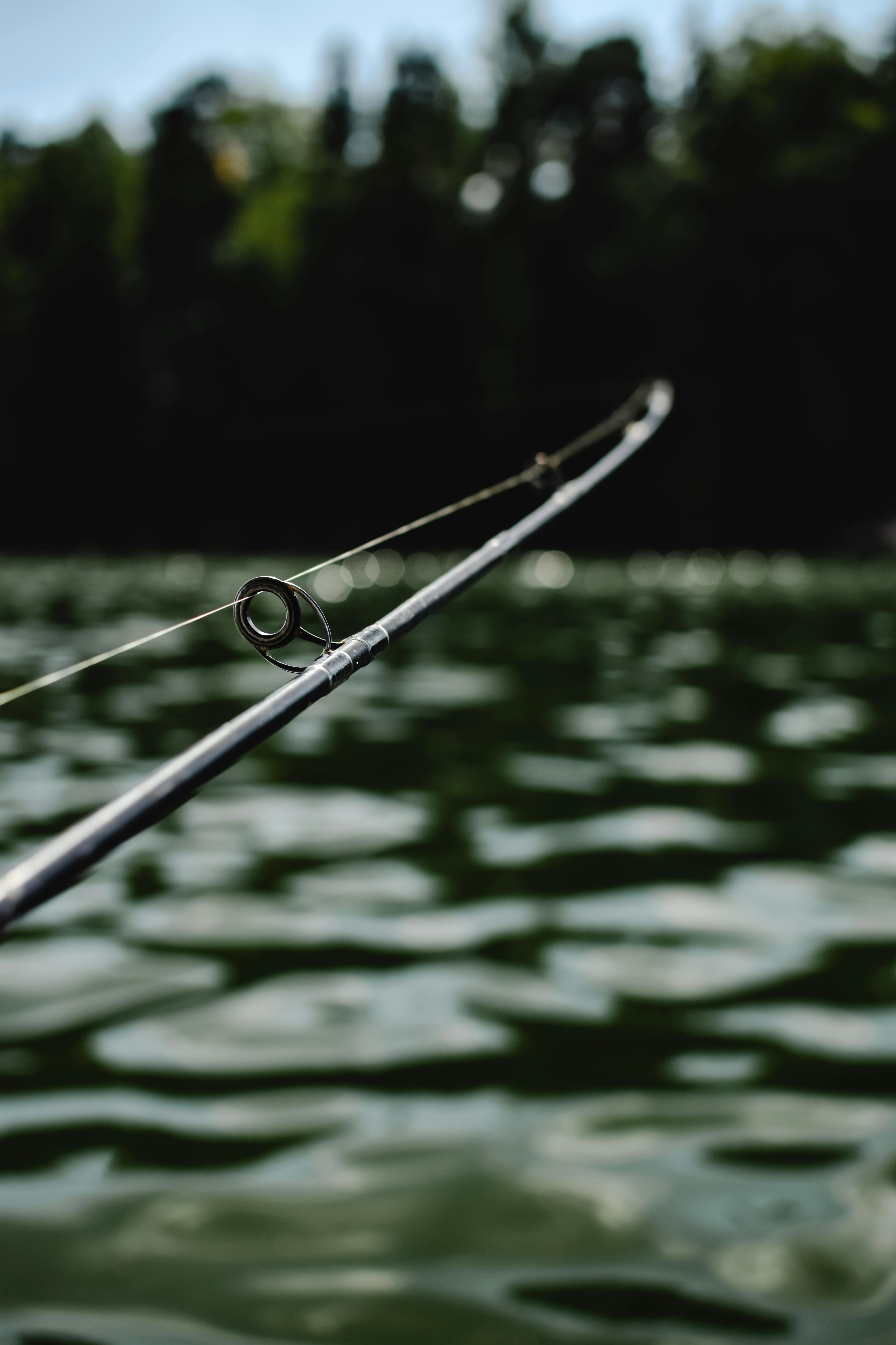 Shallow Focus of Fishing Rod · Free Stock Photo