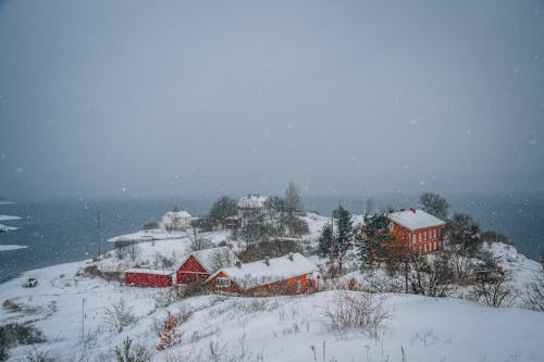 Foto d'estoc gratuïta de cobert de neu, gelat, hivern