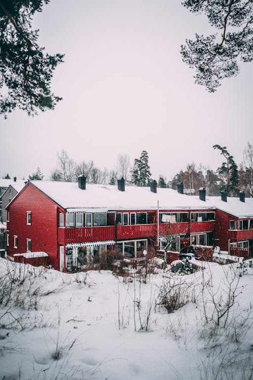 Foto d'estoc gratuïta de apartament, cobert de neu, gelat