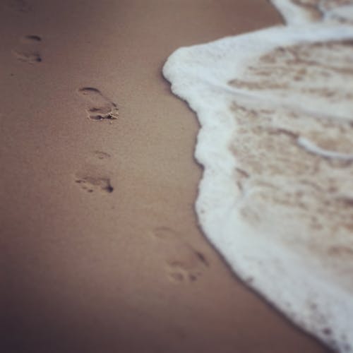 Free Brown Sand on Beach Stock Photo