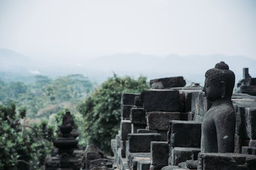 돌, 바위, 불교 사원의 무료 스톡 사진