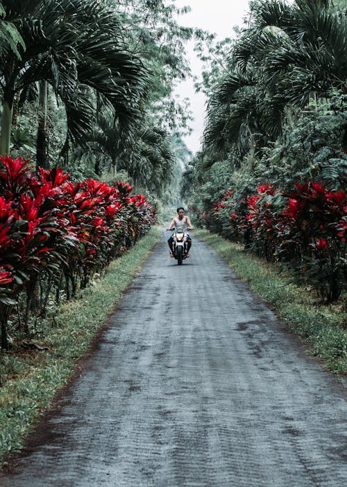 Foto d'estoc gratuïta de camí de carro, ciclista, moto