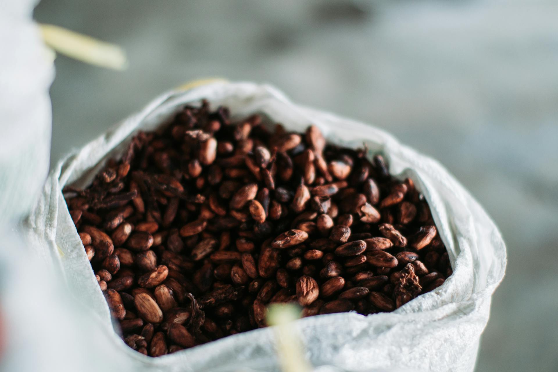 Close-up of aromatic cocoa beans in a sack, sourced from Indonesia.