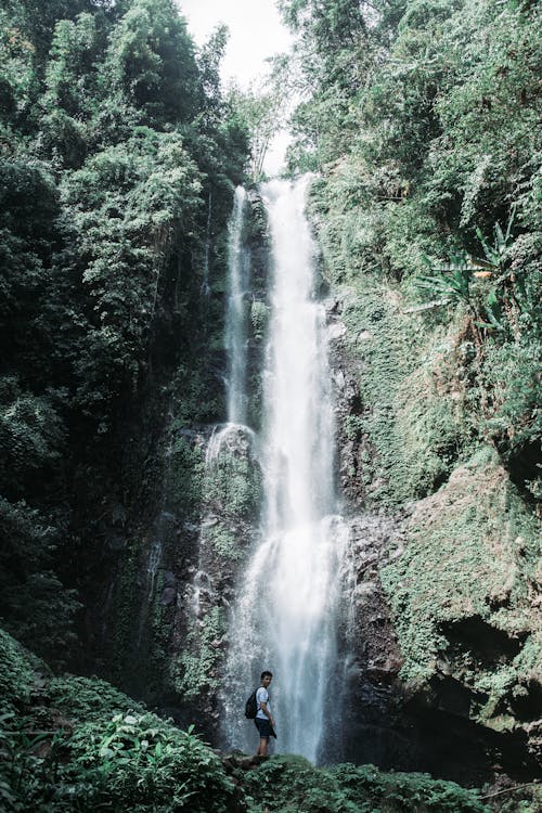 Бесплатное стоковое фото с Бали, вертикальный выстрел, водопад