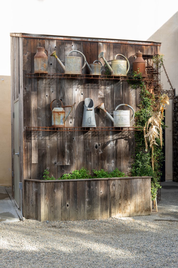 Watering Cans On Shelves