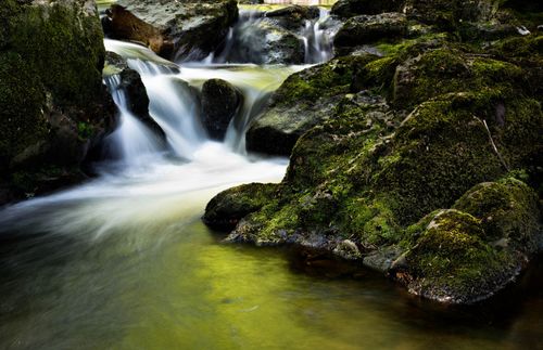 Free Captivating image of a mountain creek flowing smoothly over moss-covered rocks, evoking tranquility. Stock Photo