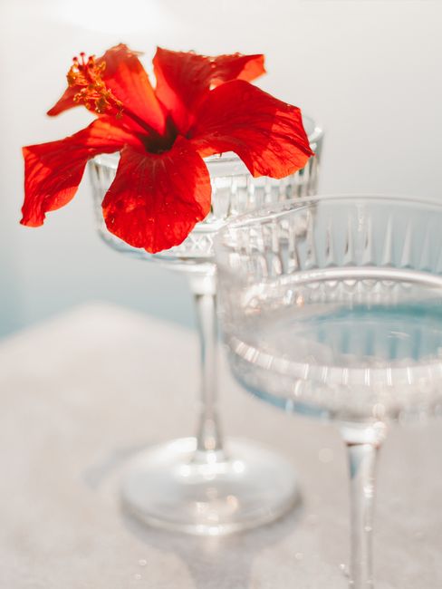 A vivid red hibiscus flower elegantly placed in a crystal cocktail glass for an artistic composition.