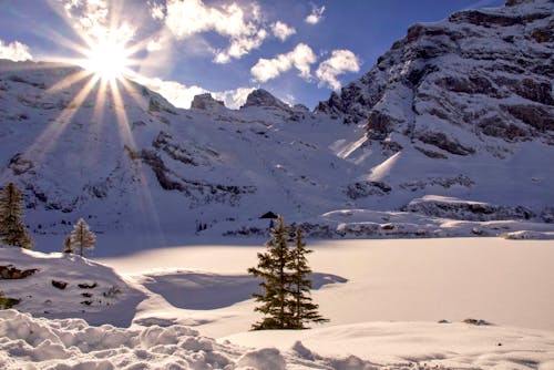 Rough mountain range covered with hoarfrost located near snowy terrain with small trees in nature with bright sunlight on winter day